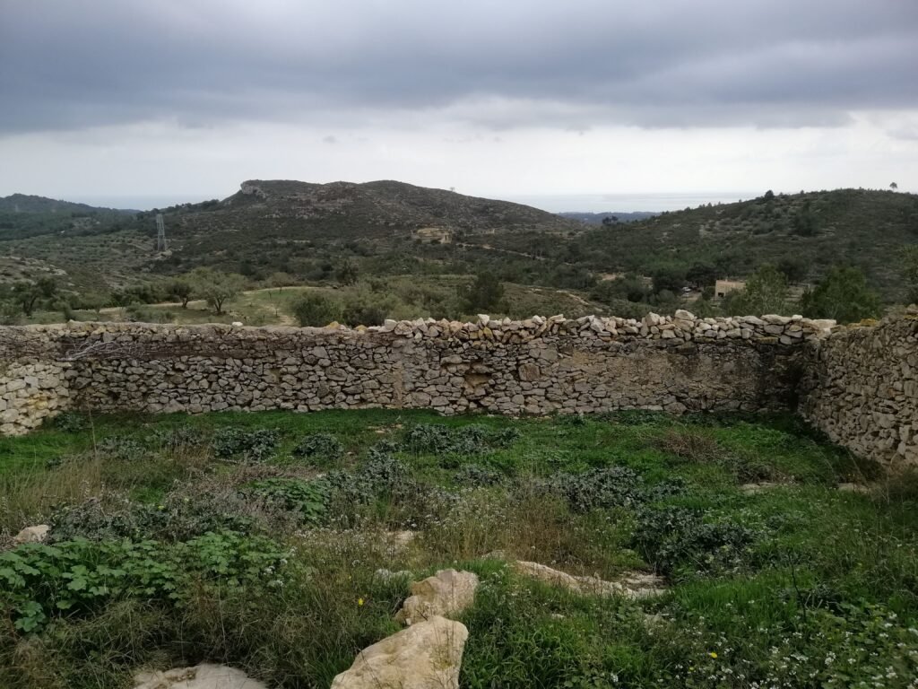 El Projecte dav