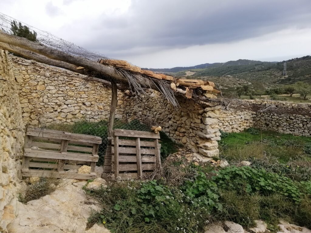 El Projecte dav