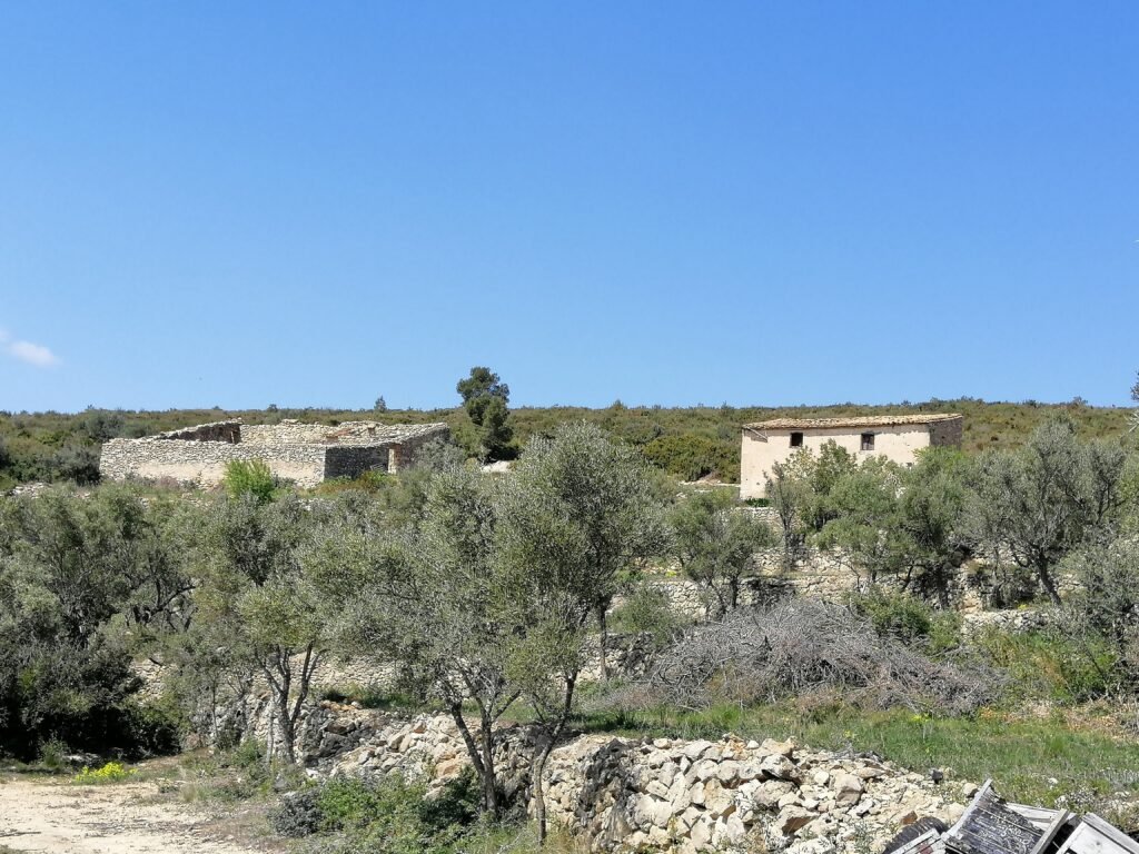 El Projecte oznor