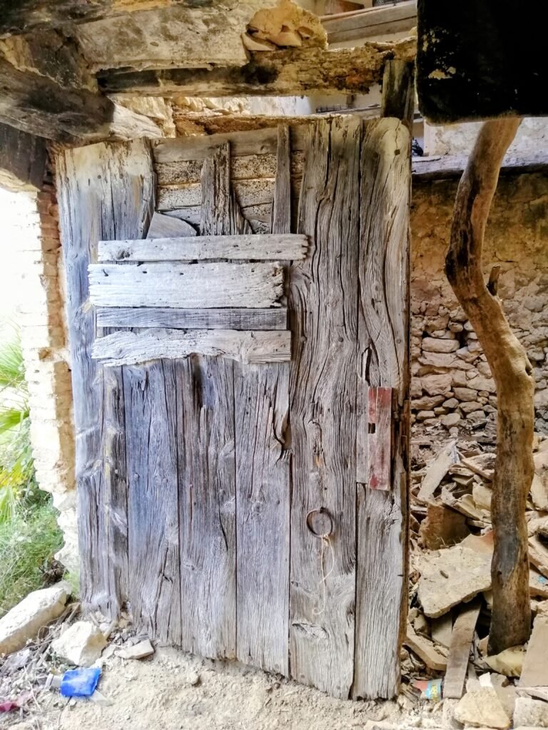 El Projecte dav