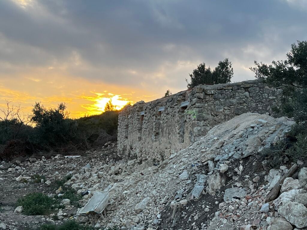 El Projecte img 1599