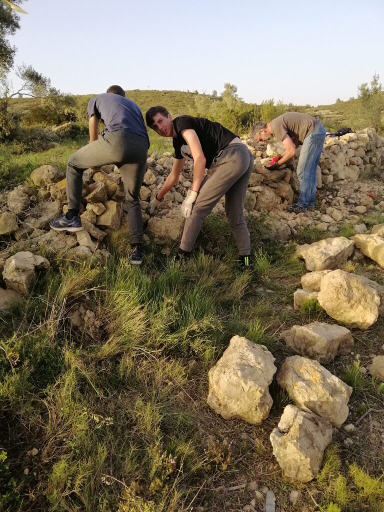 El Projecte dav