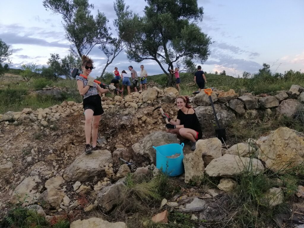 El Projecte dav