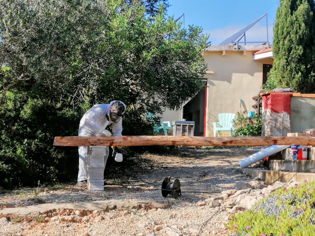El Projecte oznor