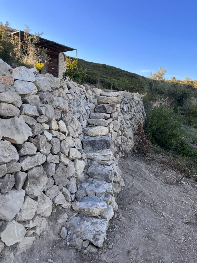 El Projecte img 2160