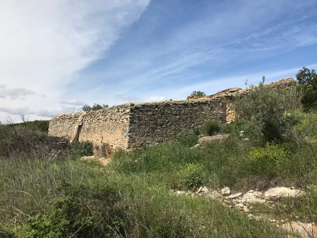El Projecte img 2869