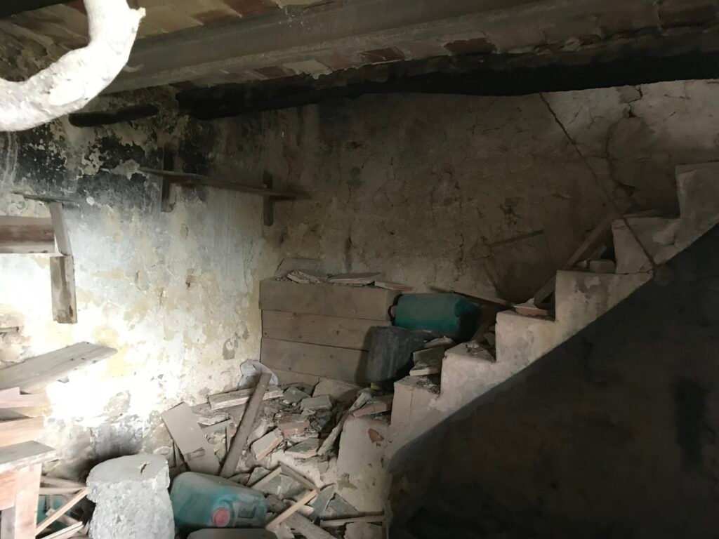 El Projecte img 2876