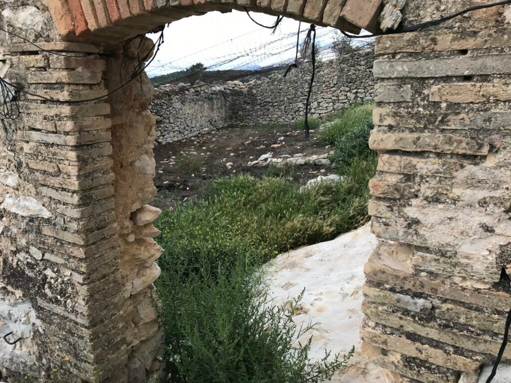 El Projecte img 2877 2