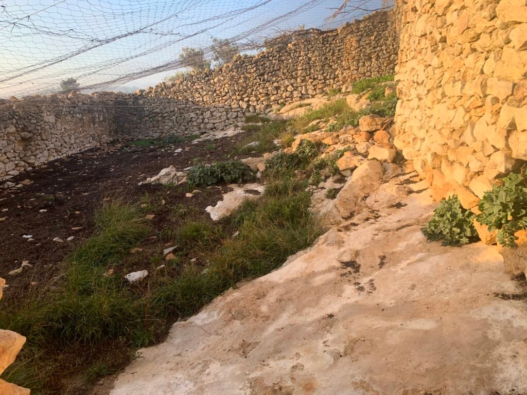 El Projecte img 2957